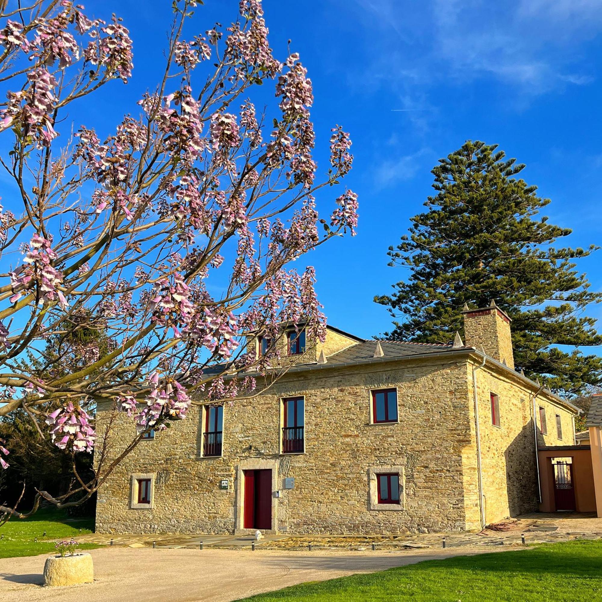 Araucaria House Guest House Barreiros Exterior foto
