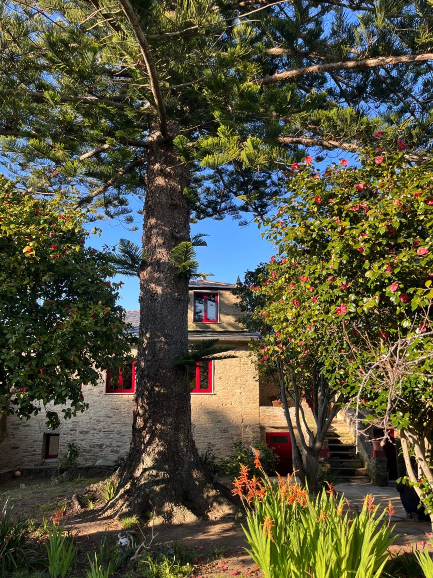 Araucaria House Guest House Barreiros Exterior foto