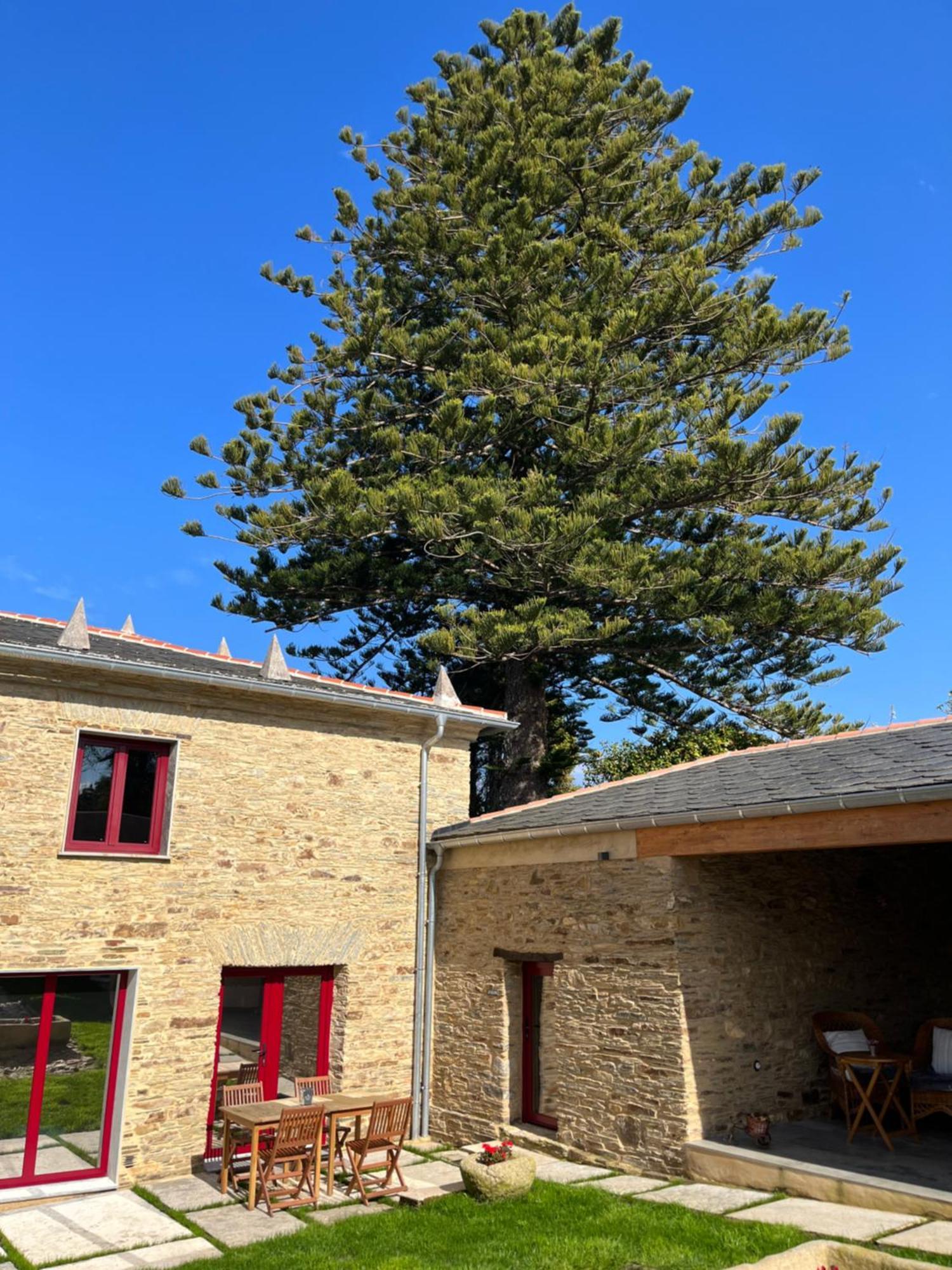 Araucaria House Guest House Barreiros Exterior foto