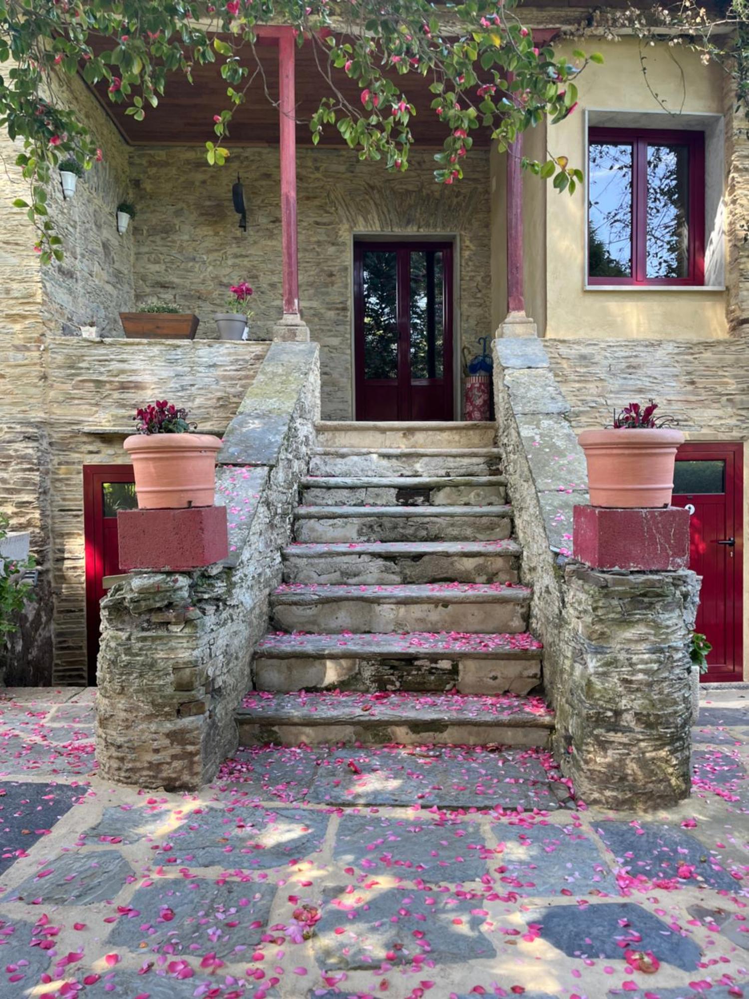 Araucaria House Guest House Barreiros Exterior foto