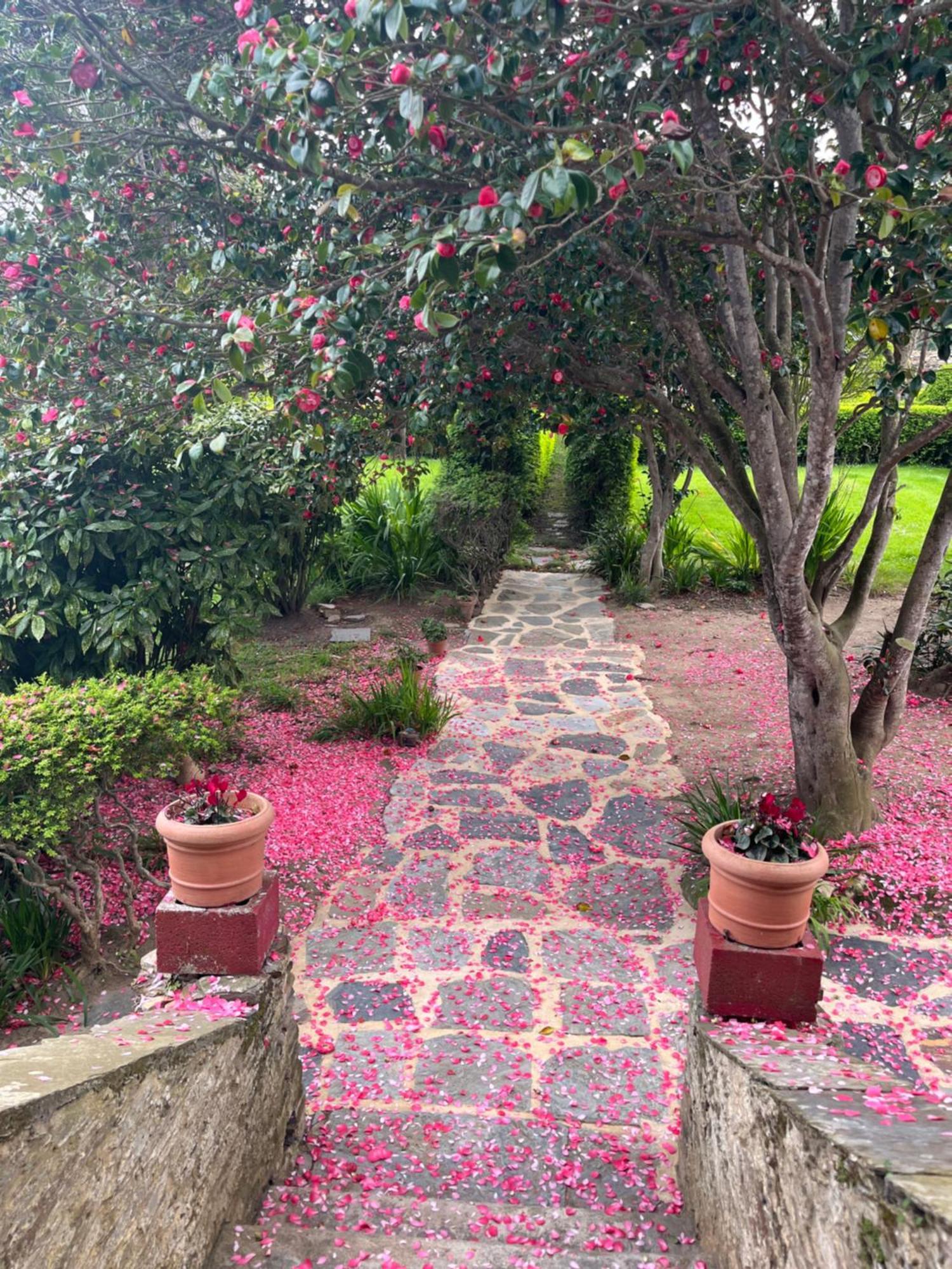 Araucaria House Guest House Barreiros Exterior foto